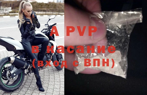 гашик Абинск