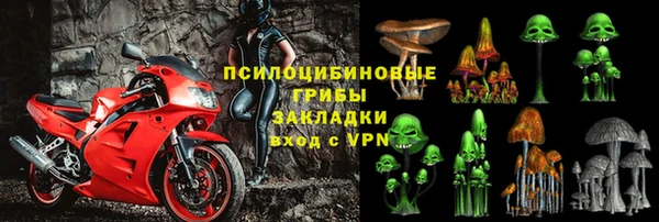 а пвп мука Абаза
